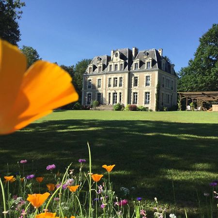 Chateau Des Essards Avec Piscine Et Jacuzzi Langeais Bagian luar foto