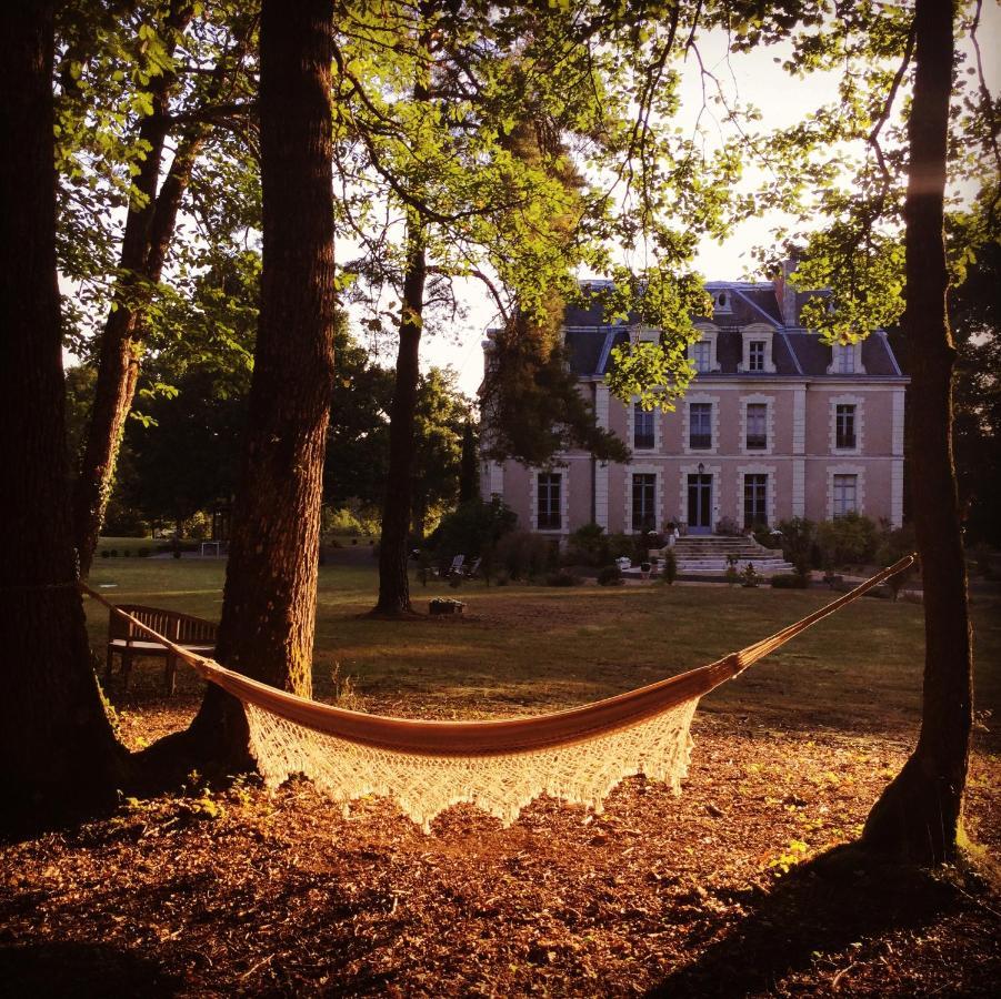Chateau Des Essards Avec Piscine Et Jacuzzi Langeais Bagian luar foto