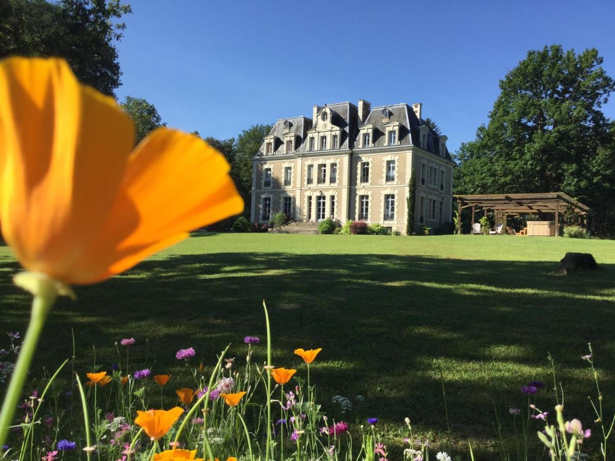 Chateau Des Essards Avec Piscine Et Jacuzzi Langeais Bagian luar foto