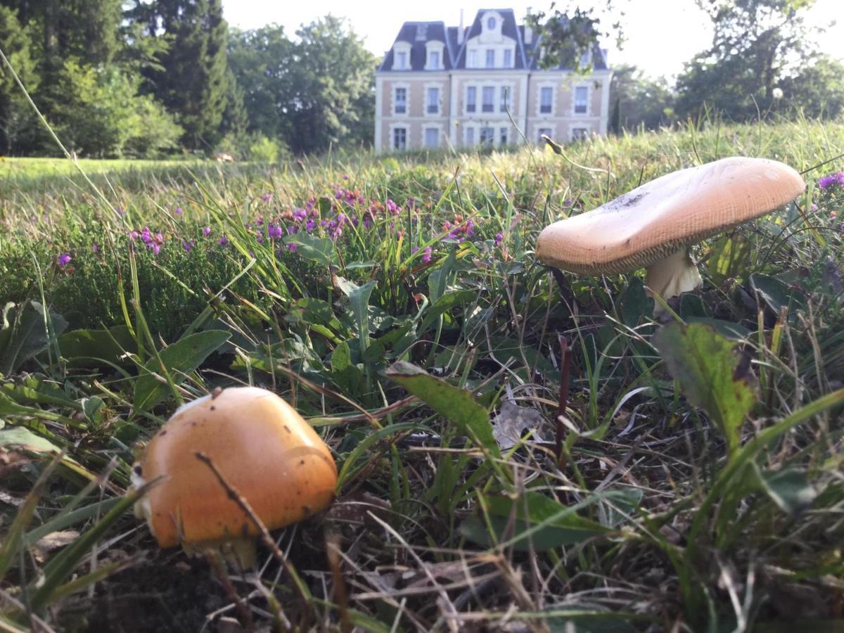 Chateau Des Essards Avec Piscine Et Jacuzzi Langeais Bagian luar foto